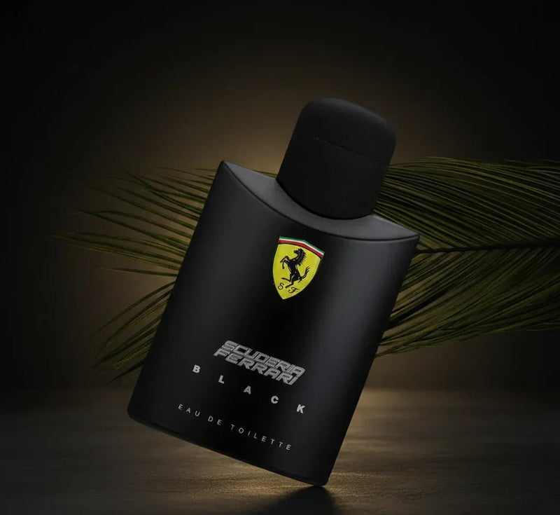 Caminho Selvagem (100ml) - 212 VIP Black | Sauvage | 1 Million | Ferrari Black