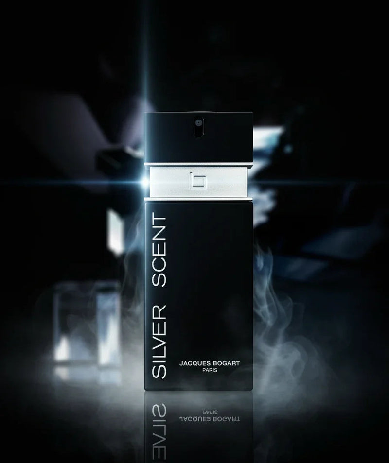 Night and Luxury  - 1 Million | Silver Scent (100ml)