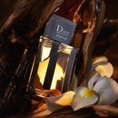 4 Perfumes Masculinos Luxo Revelado (100ml) - Dior Homme intense | Scandal | Le Male Elixir | Armani Code |